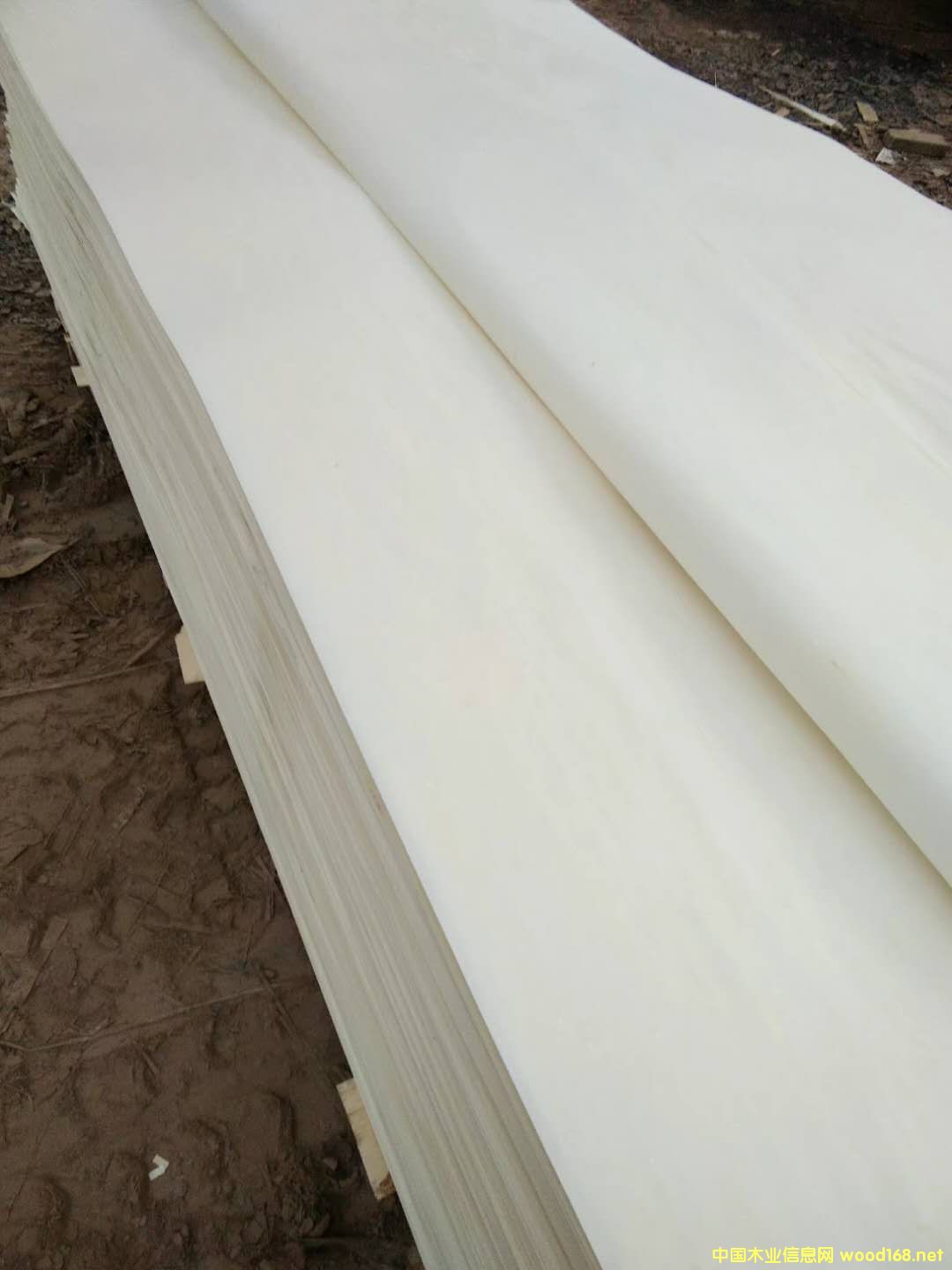 Ư�׵�Ԕ��(x��)��B