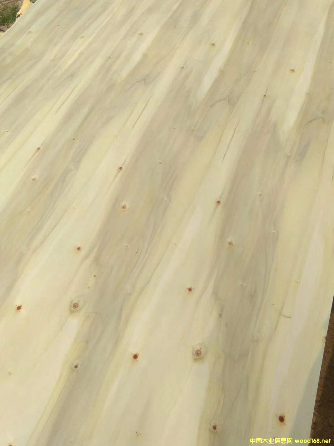 ��ľԭɫ��Ԕ��(x��)��B