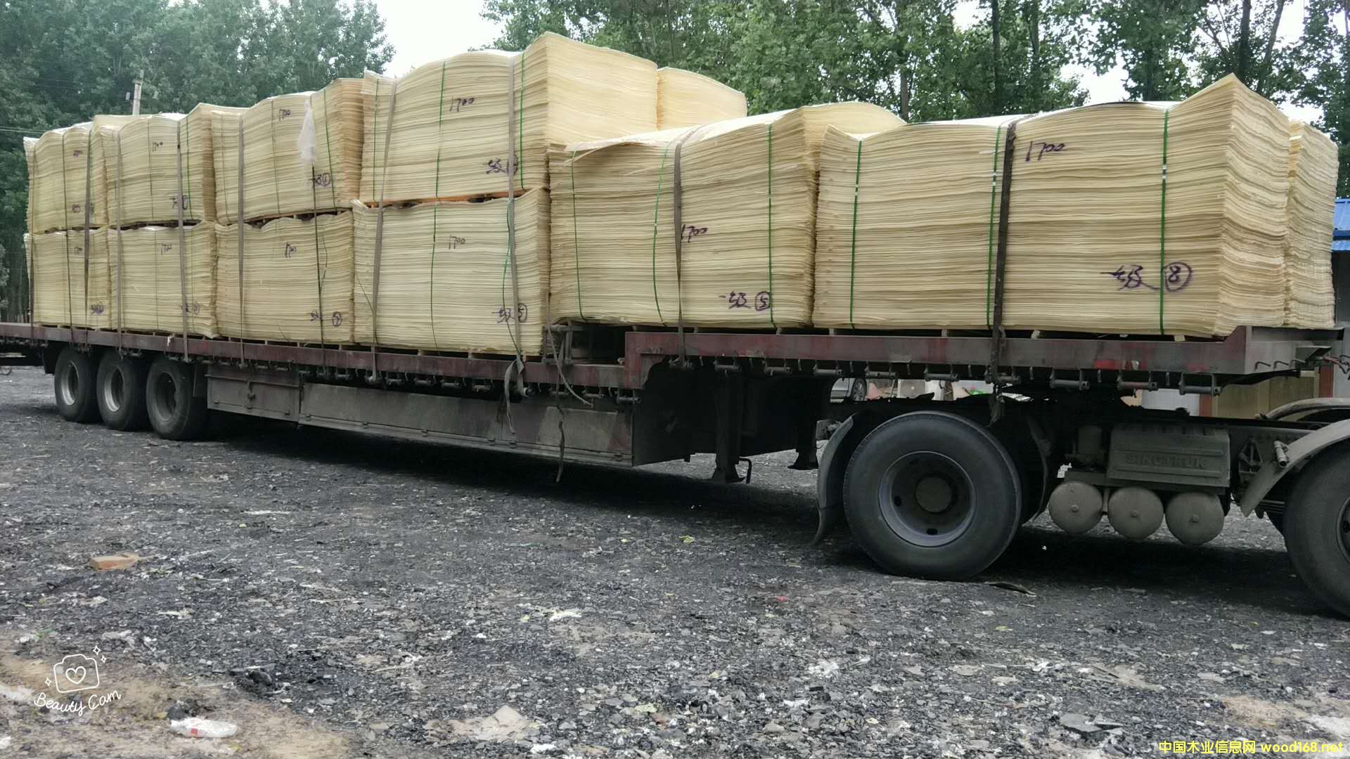 ��ľƯ�׵�Ԕ��(x��)��B