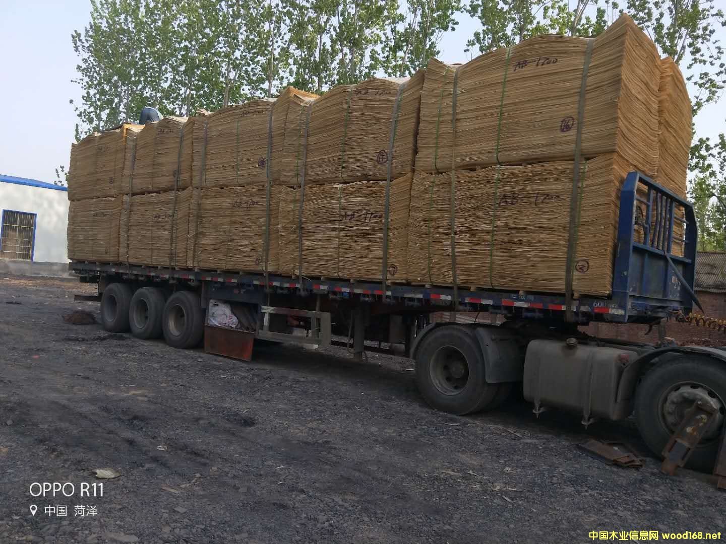  ��Ԕ��(x��)��B