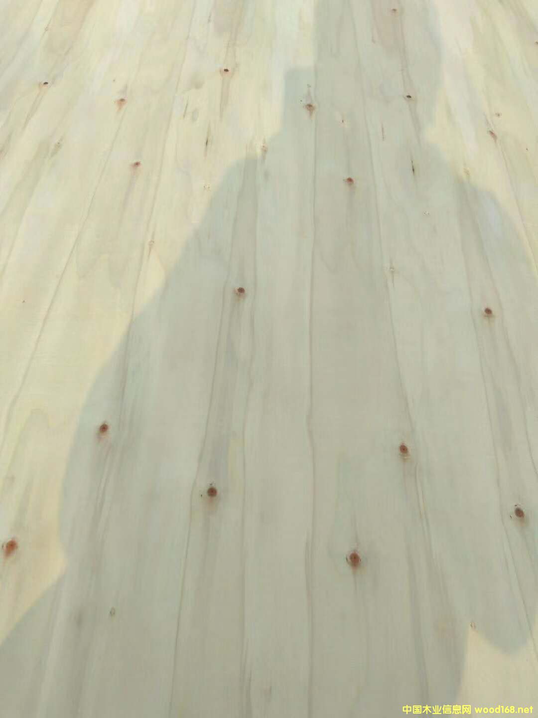 ��ľԭɫ��Ԕ��(x��)��B