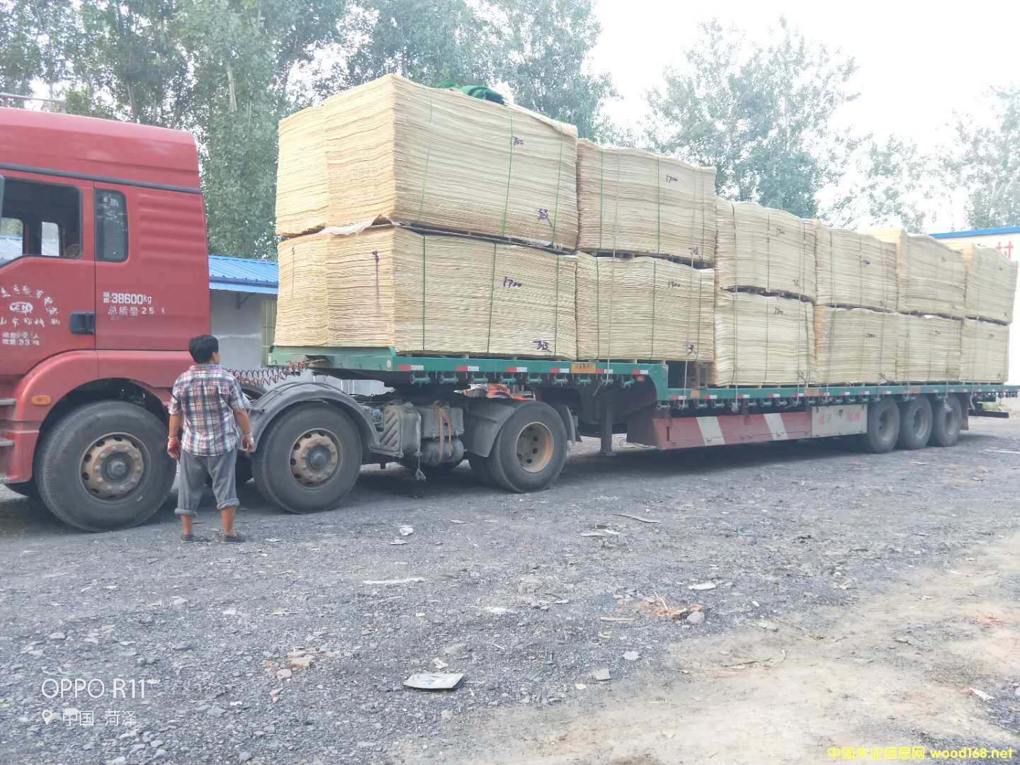   ��Ԕ��(x��)��B