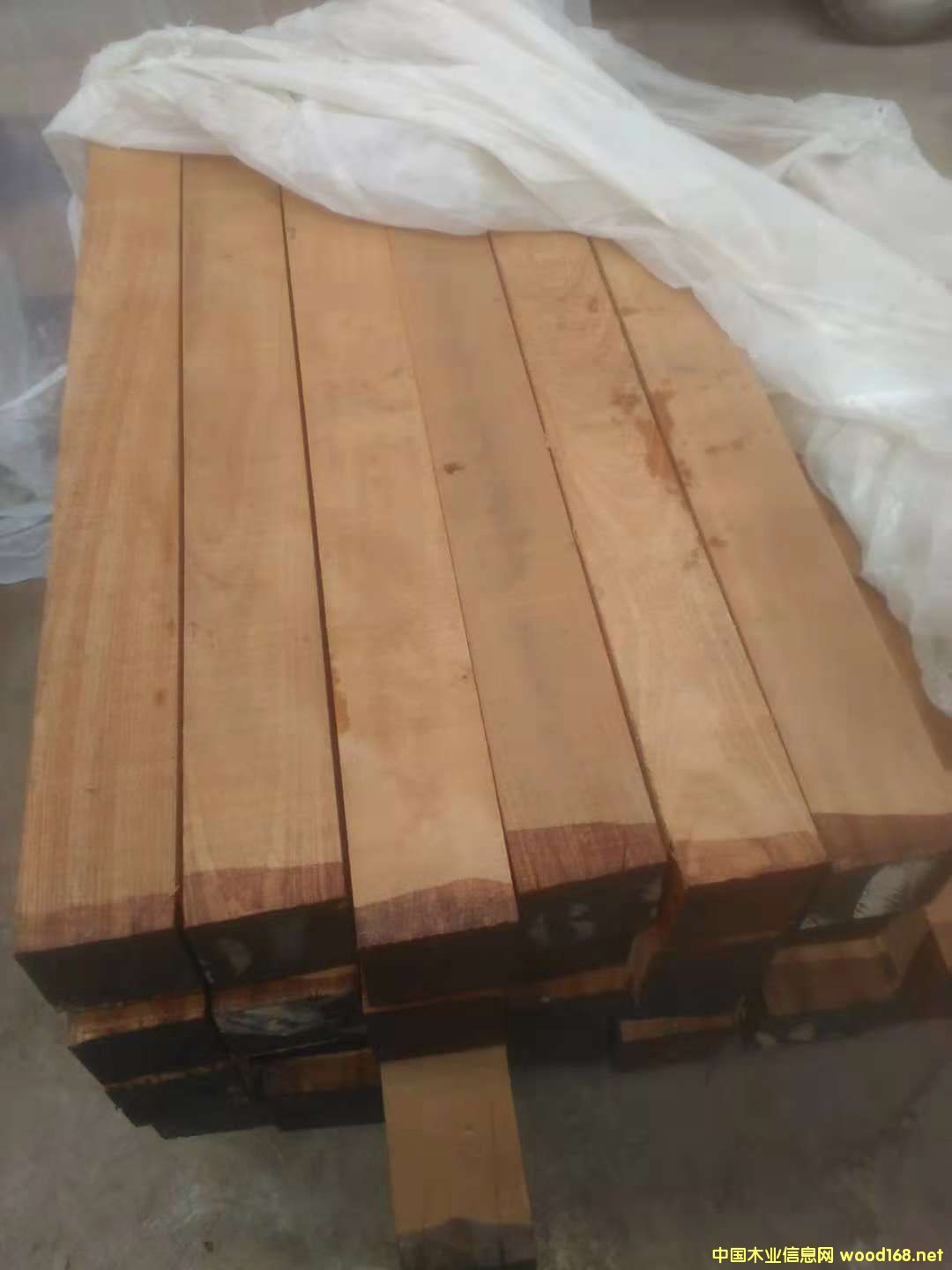 ɳ����������