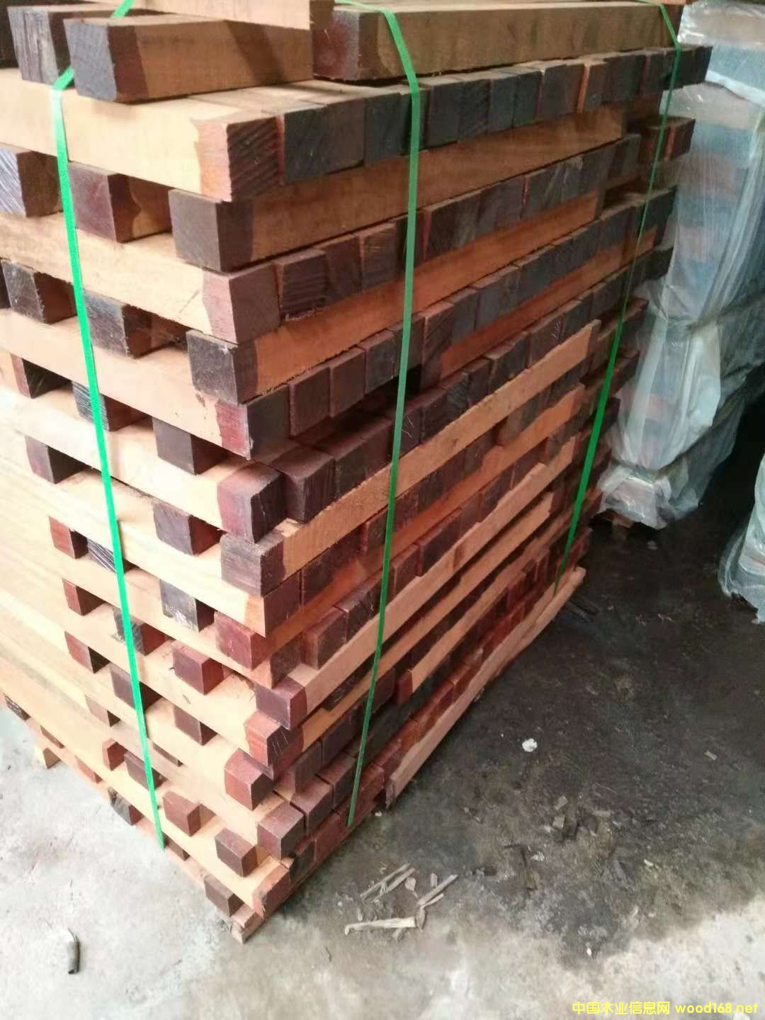 ɳ����������