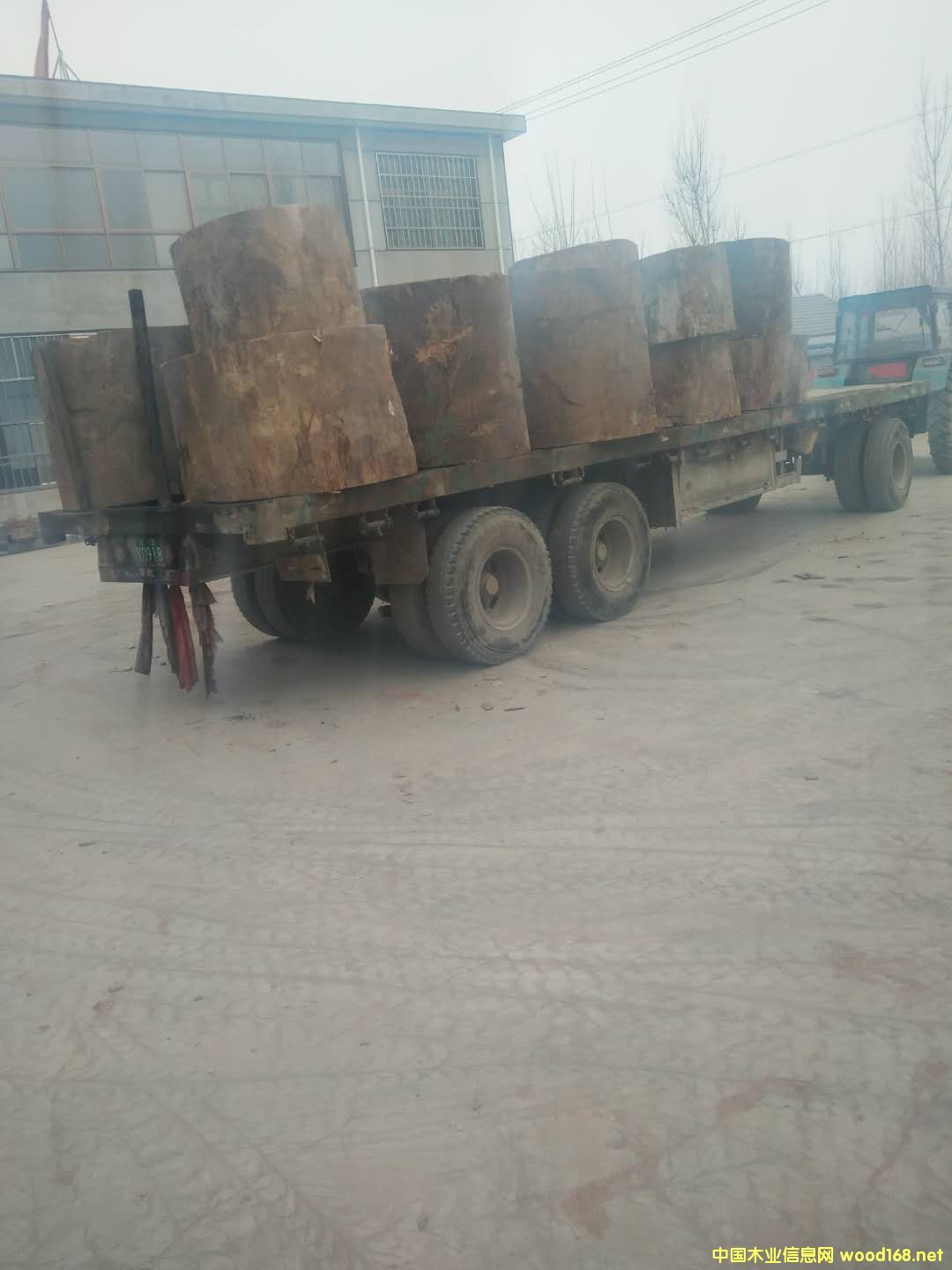 ɳ����������