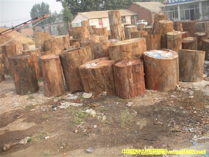 ɳ����������