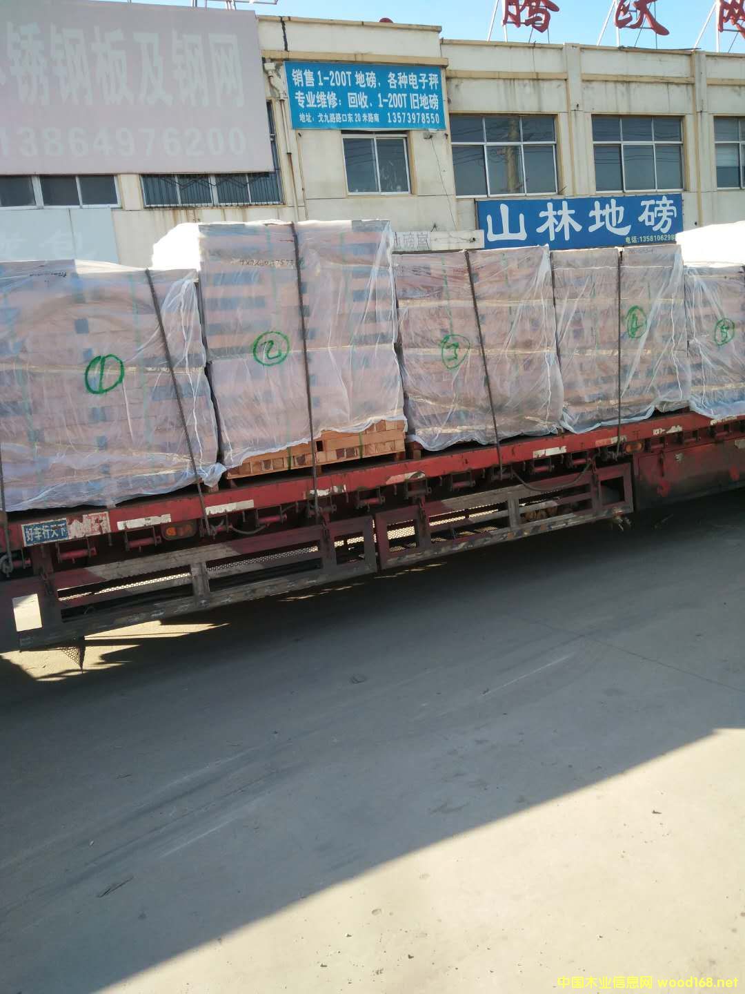   ɳ����������