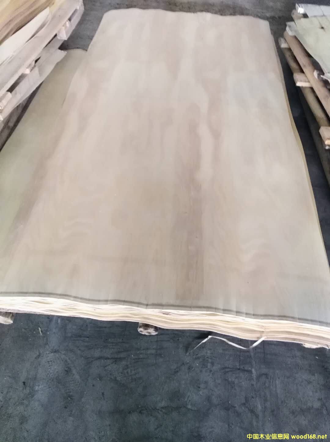 樺木單板的詳細(xì)介紹