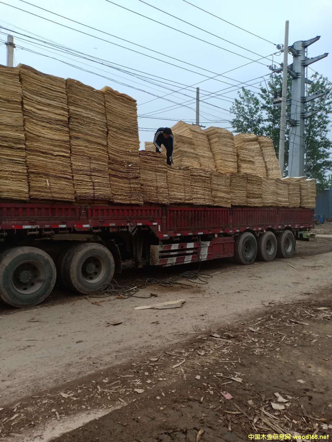 ��ľ��ƴ��Ԕ��(x��)��B