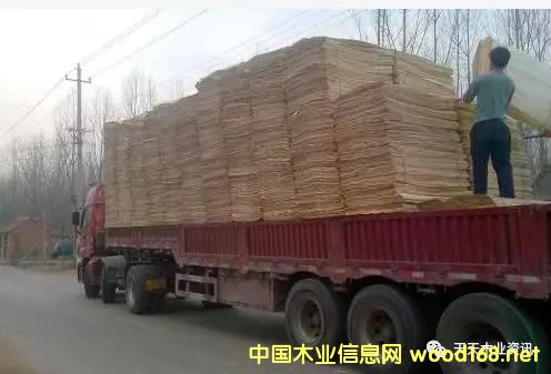 ��ľƤ�ӵ�Ԕ��(x��)��B