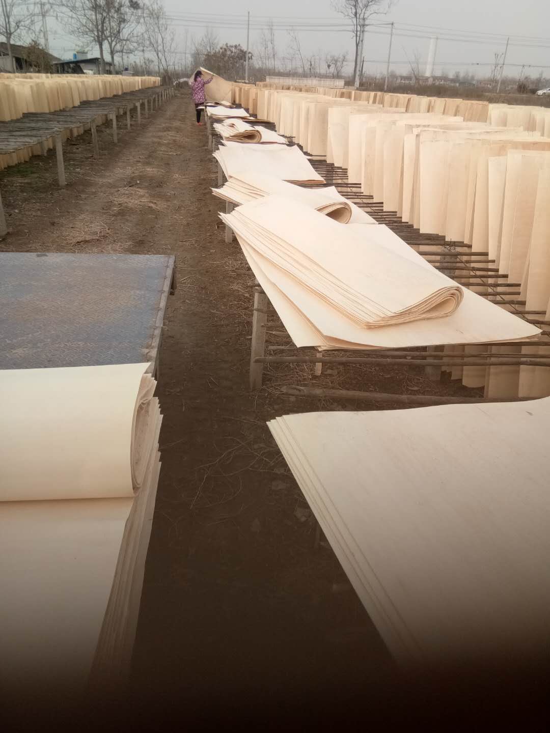  ��Ԕ��(x��)��B