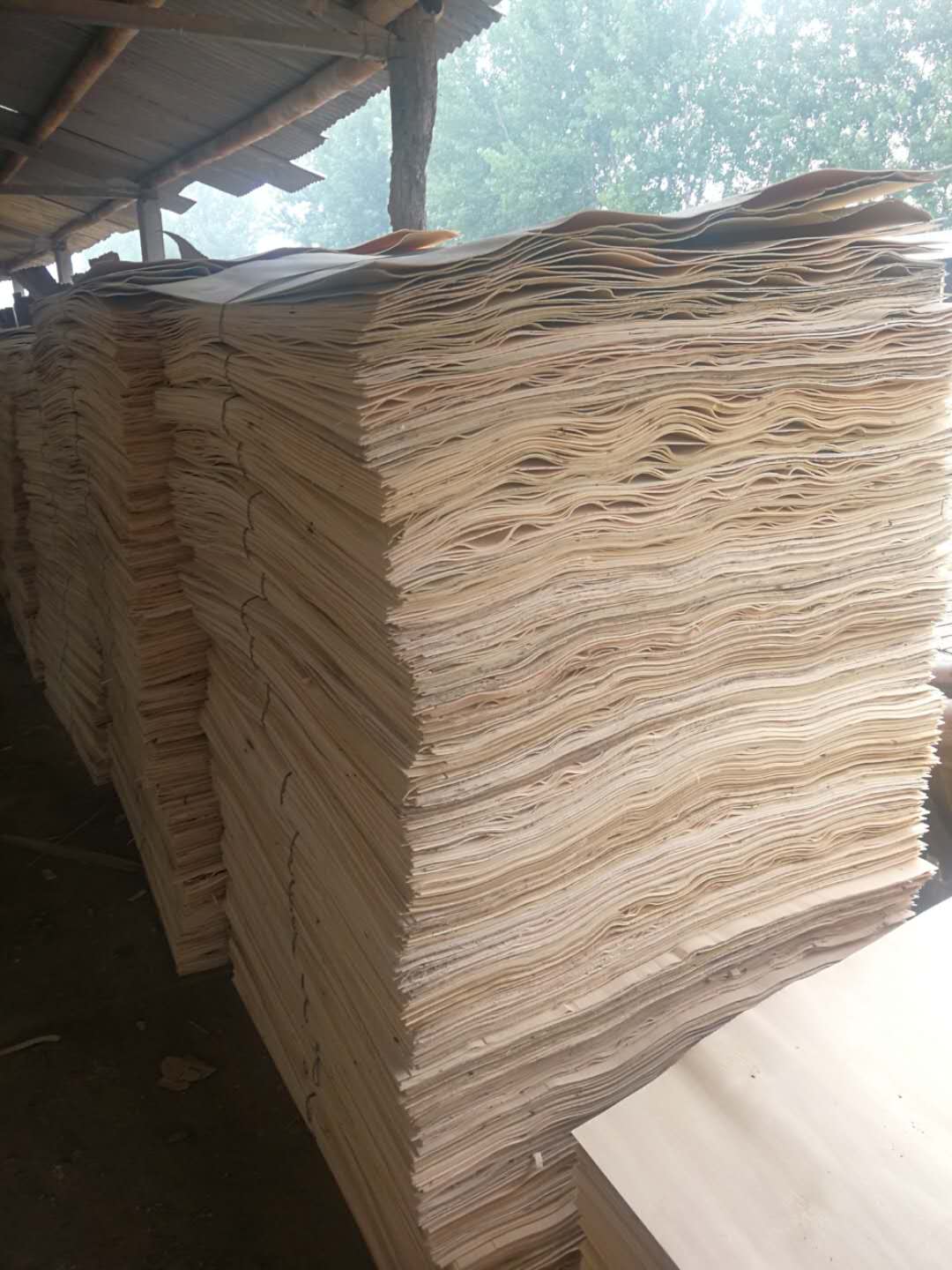  ��Ԕ��(x��)��B