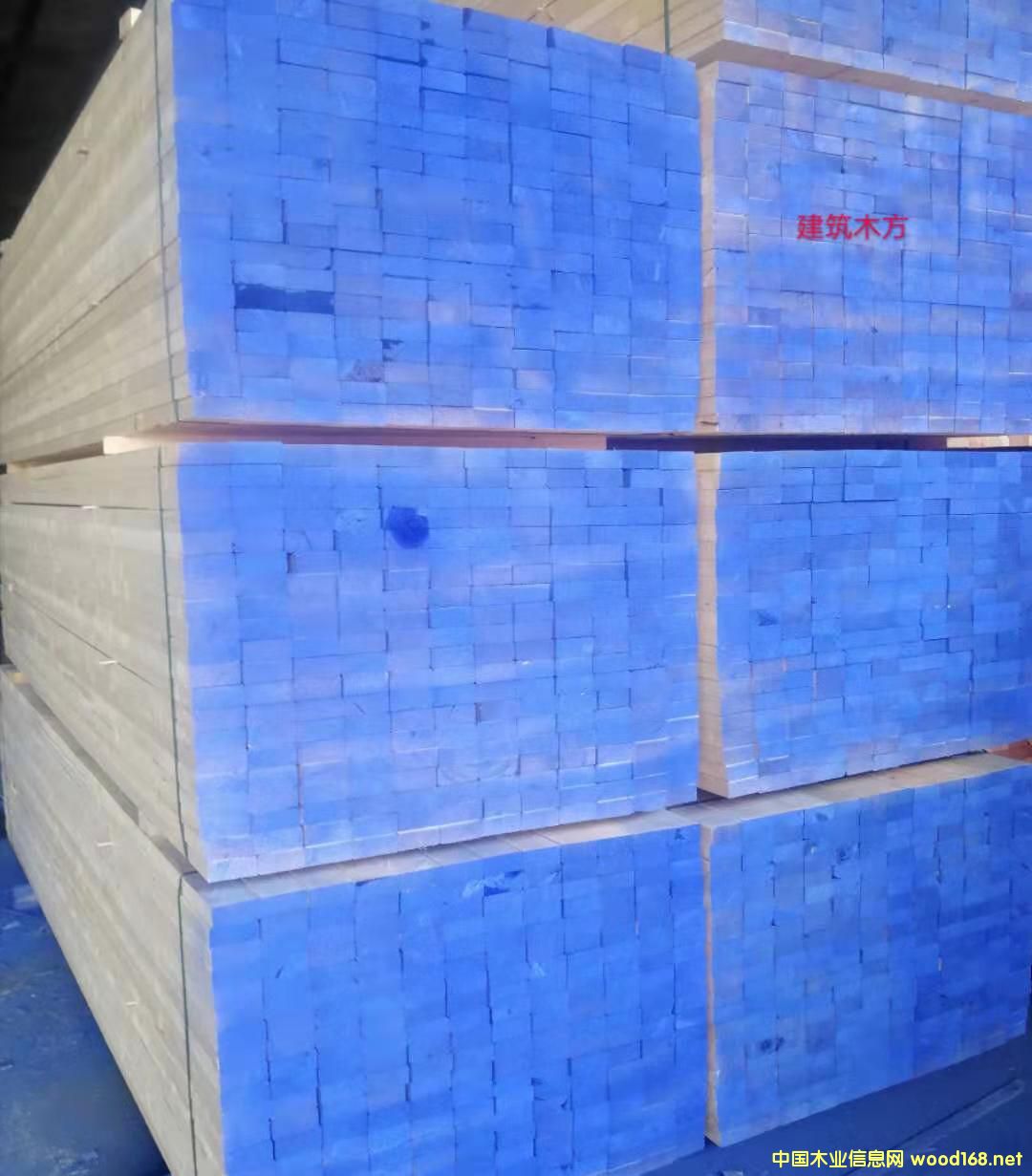   ��Ԕ��(x��)��B