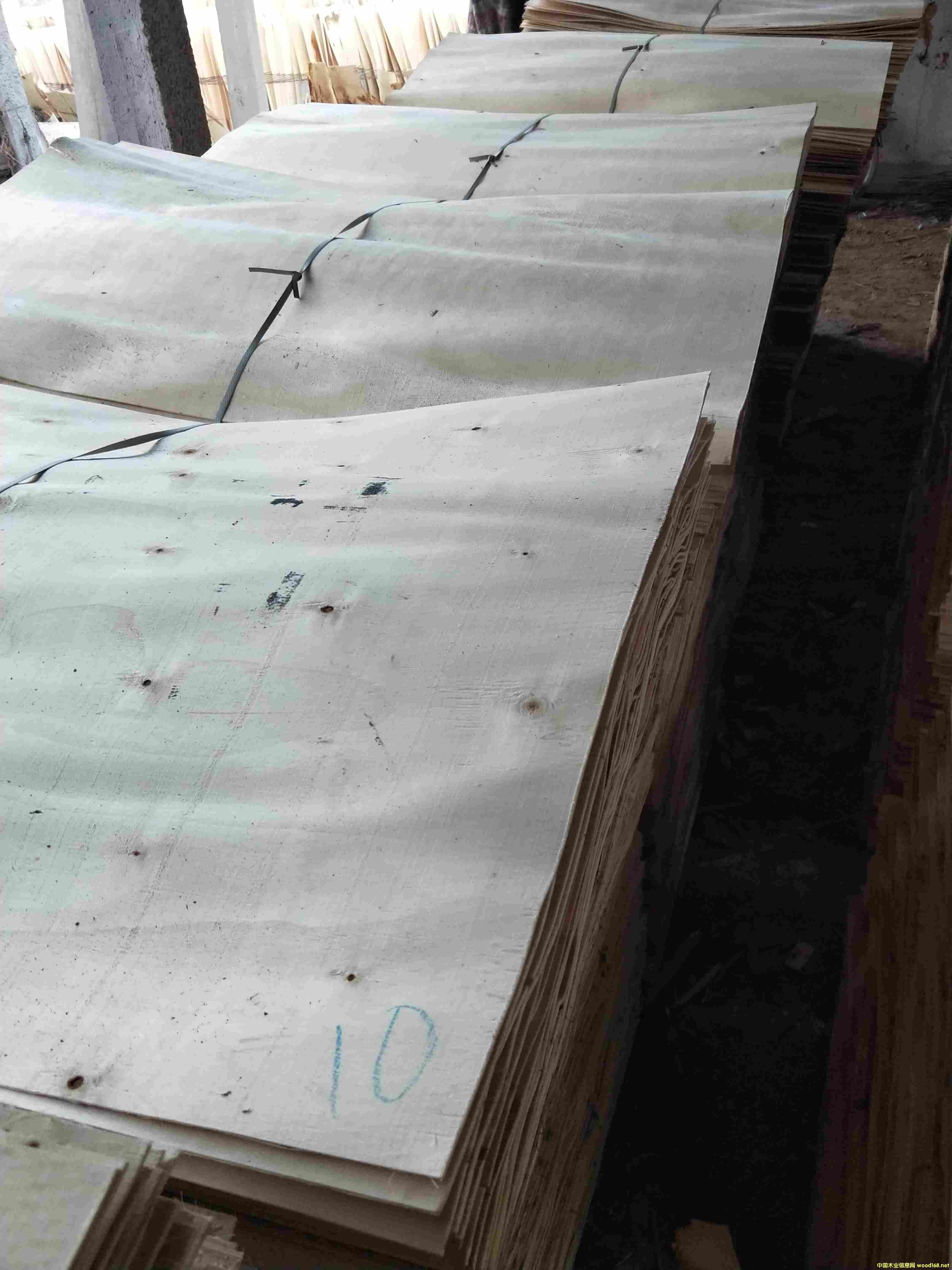 楊木皮的詳細(xì)介紹