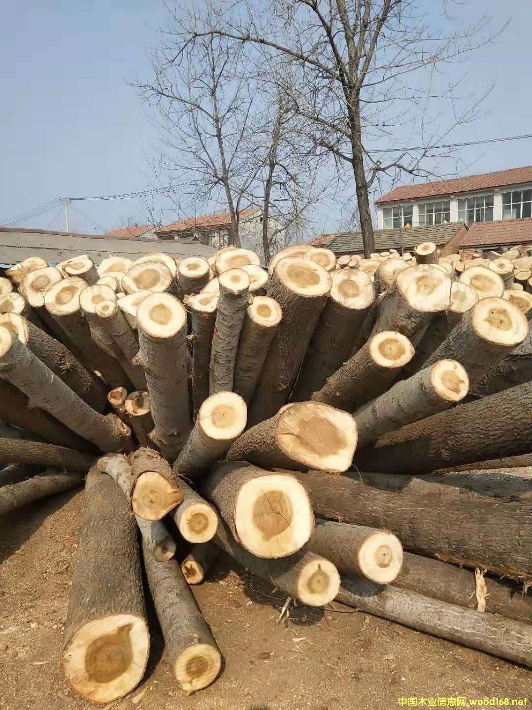 ��ľƤ��Ԕ��(x��)��B