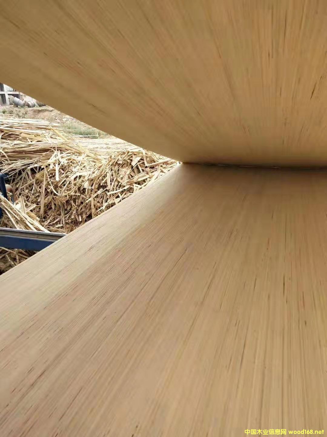   ��Ԕ����B