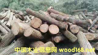   ��Ԕ����B