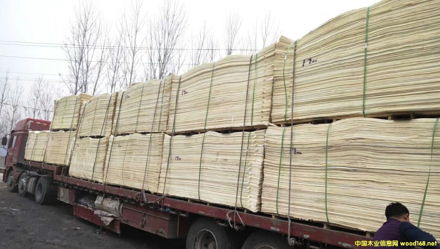 Ư��Ƥ��Ԕ��(x��)��B