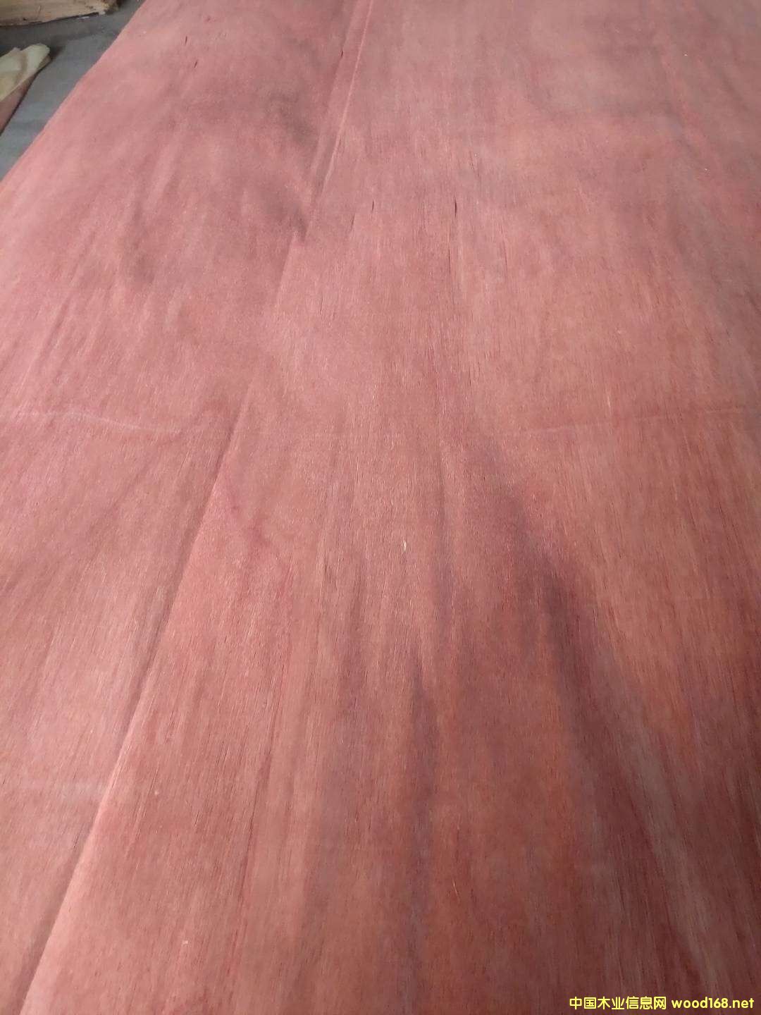 �sľ��Ƥ��Ԕ����B