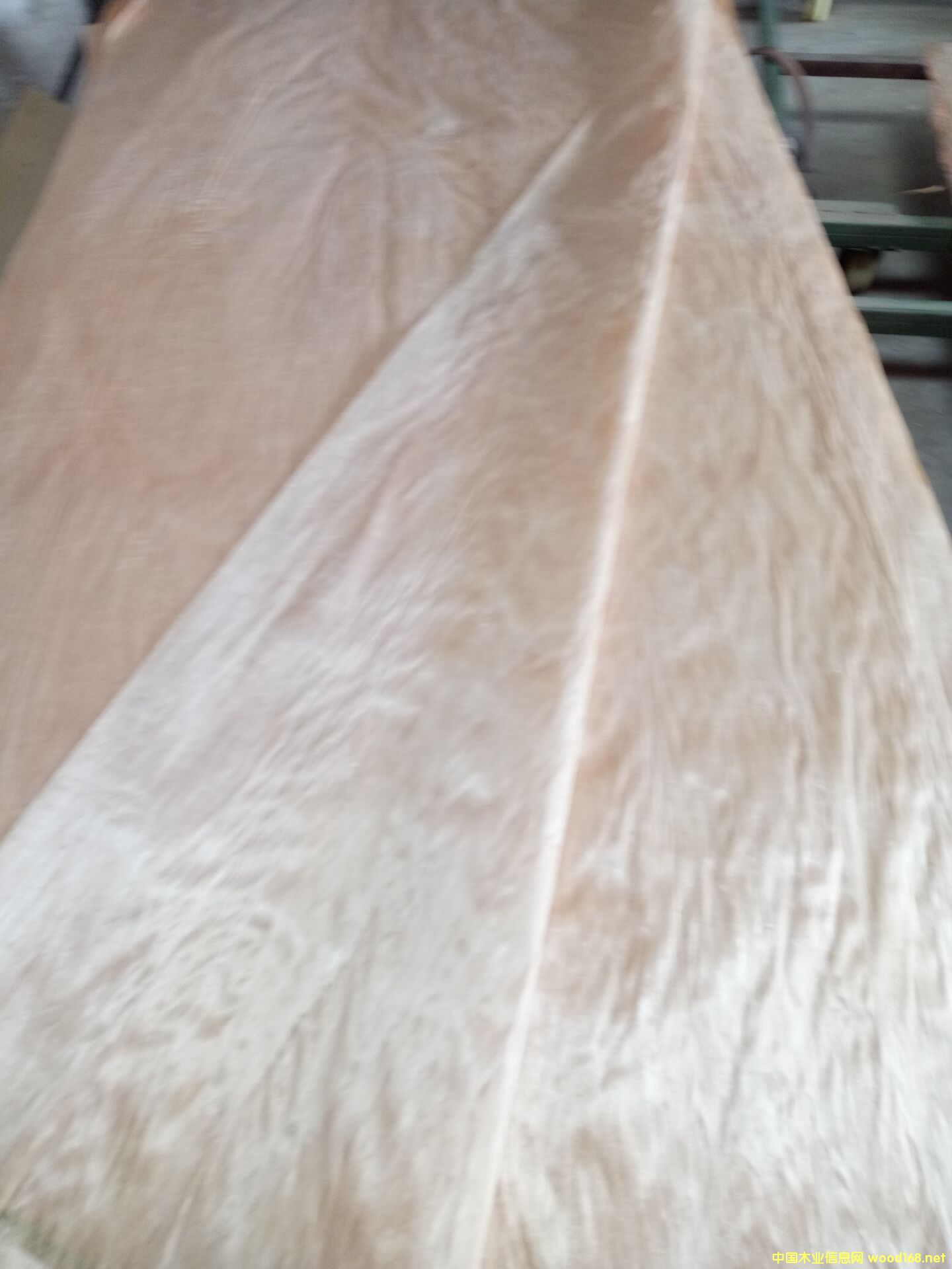 �sľ��Ƥ��Ԕ����B