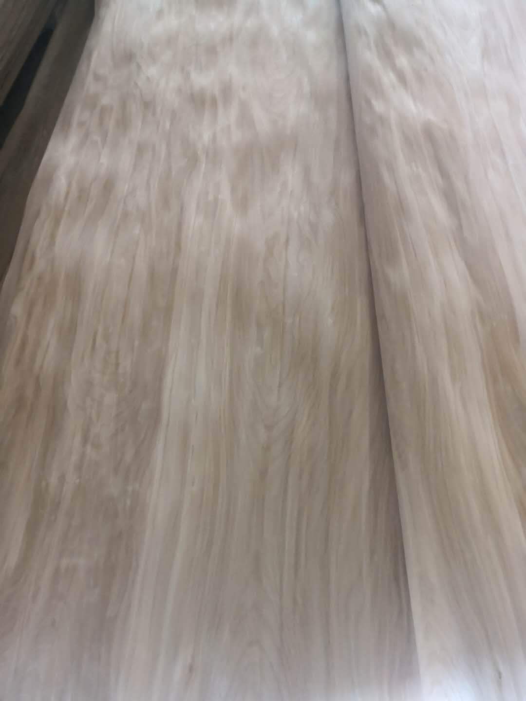 ��ľ��Ƥ��Ԕ����B