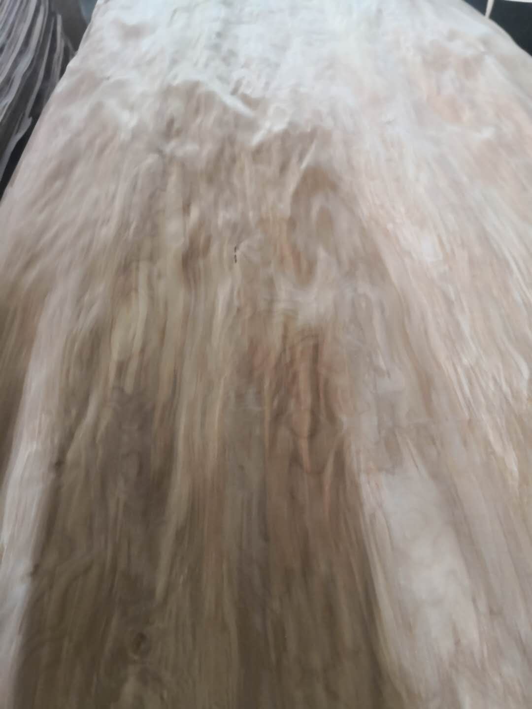 ��ľ��Ƥ��Ԕ����B