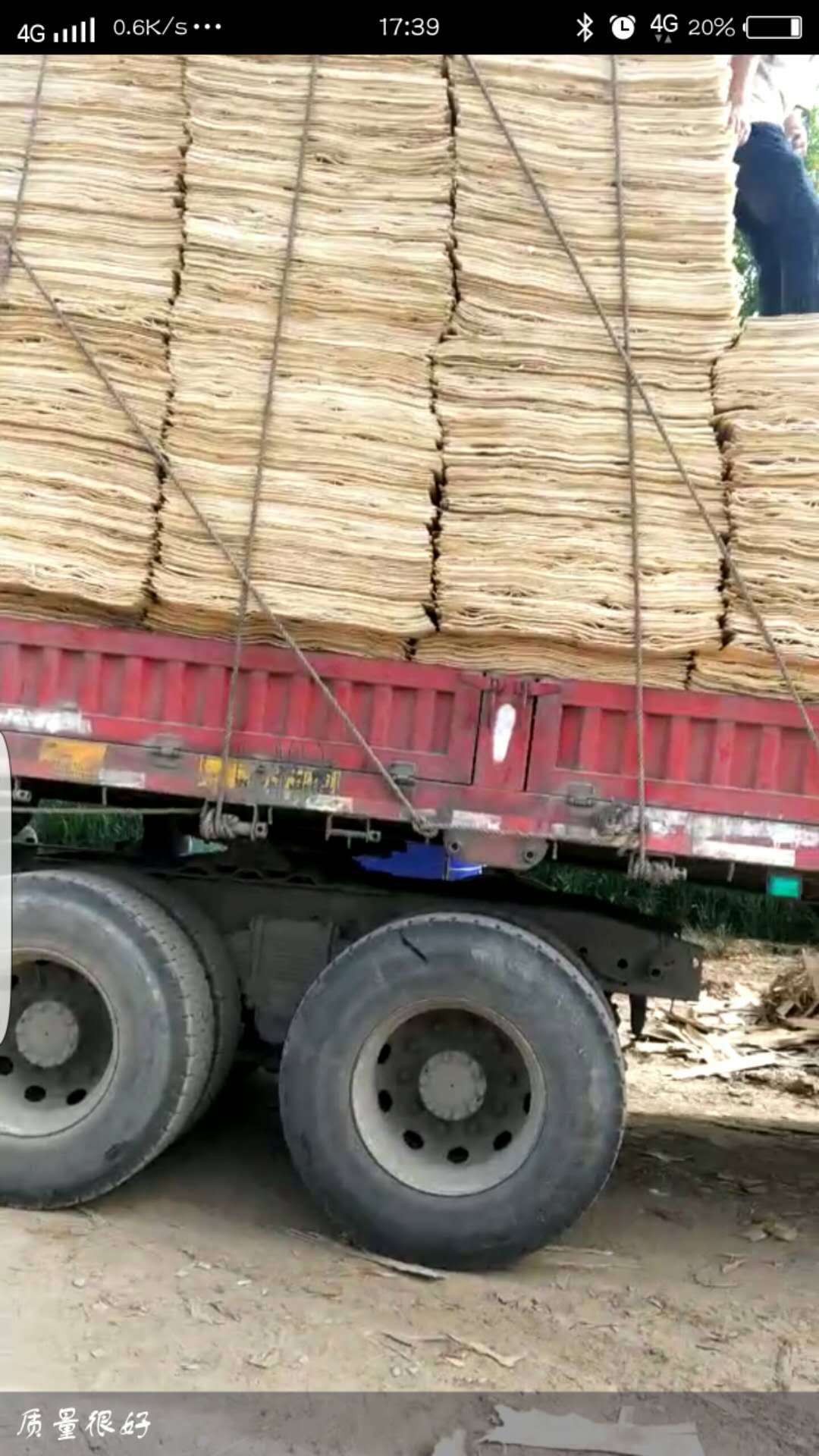 ��ľƤ�ӵ�Ԕ��(x��)��B