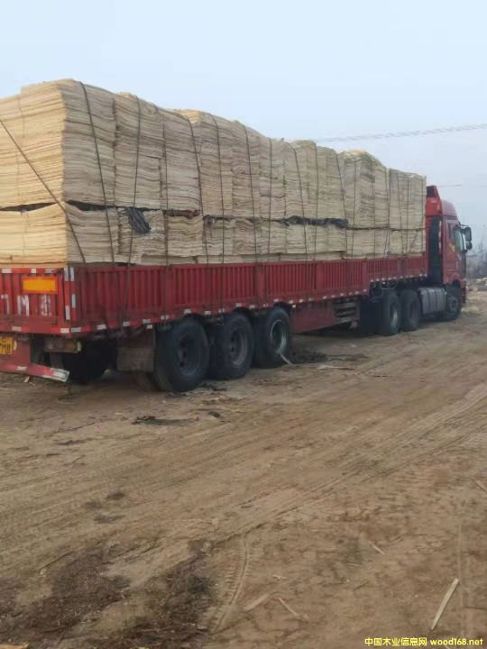 ��ľ�ΰ��Ԕ��(x��)��B