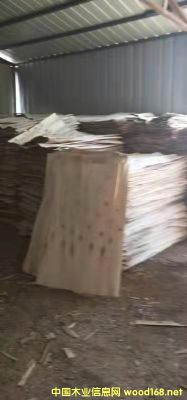 ��ľƤ�ӵ�Ԕ����B