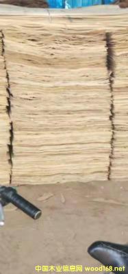 ��ľƤ�ӵ�Ԕ����B