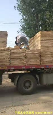 ��ľƤ�ӵ�Ԕ����B