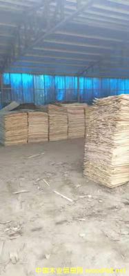 ��ľƤ�ӵ�Ԕ����B