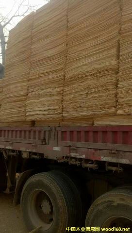 �S�h��ľ��ƴ