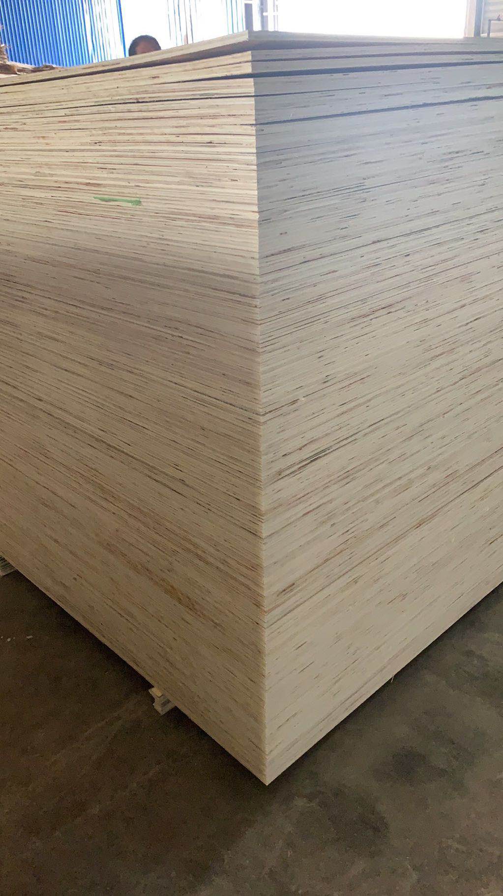 15���z�ϰ�