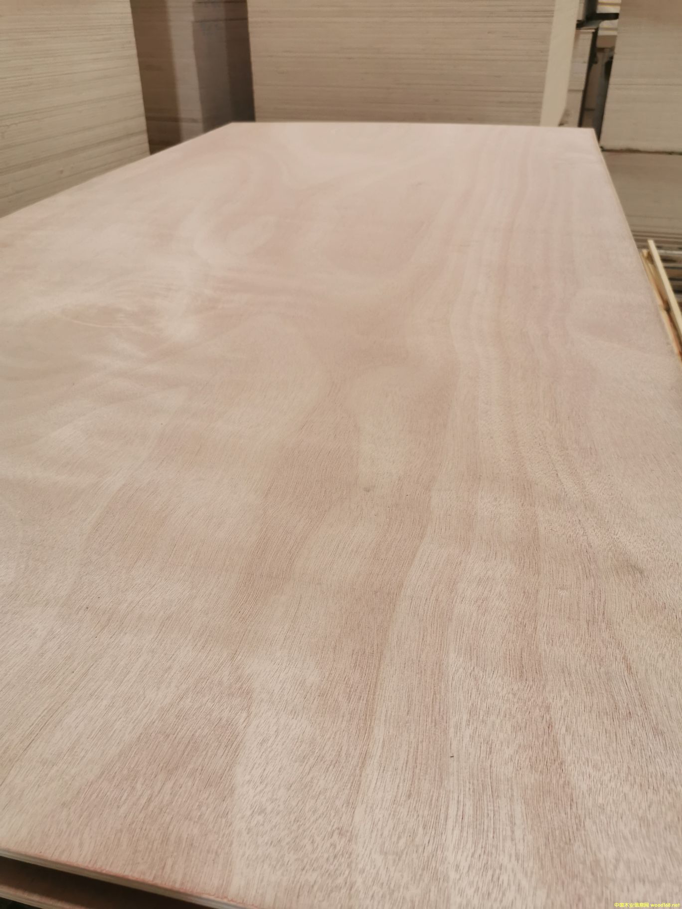  ��Ԕ��(x��)��B