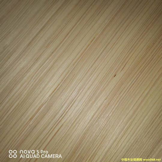 的詳細(xì)介紹