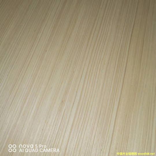 的詳細(xì)介紹