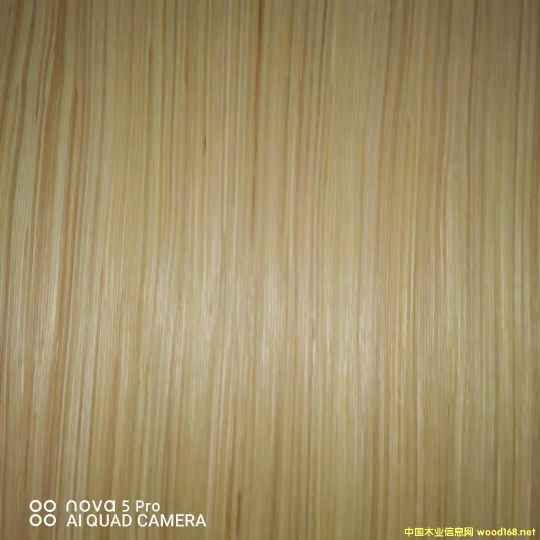 的詳細(xì)介紹