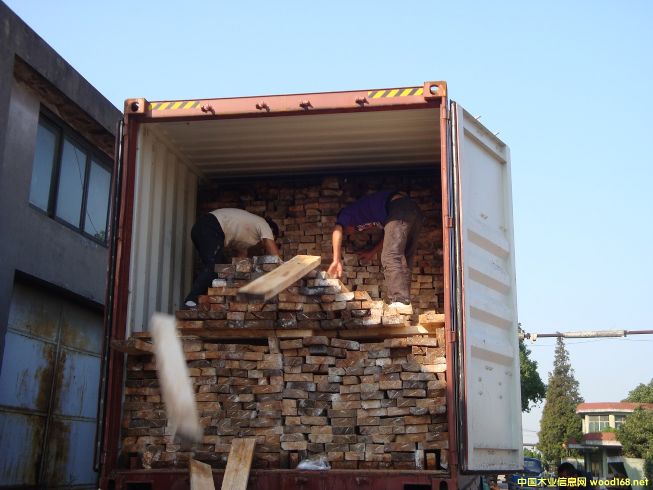 [��] ����(y��ng)�����ľ������R����ľ����albizia falcata