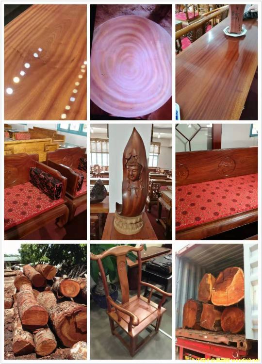 [��] ����(y��ng)�һ�оľ���һ��İ�ģ���mahogany,���~�һ��ģ������һ���