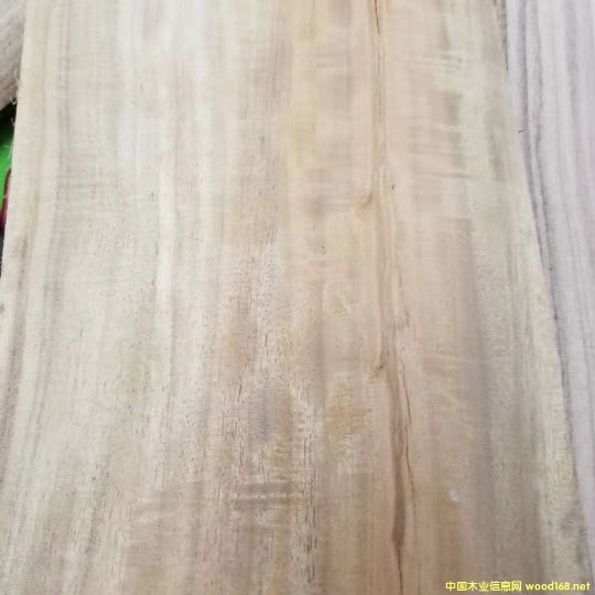 [��] �����M�ڴ��~��˼ľ��ACACIA����˼ľԭľ