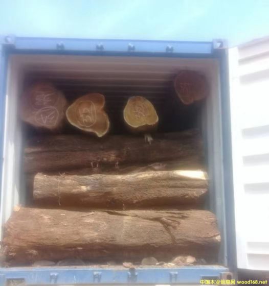 [��] �L�ڹ������~��˼ľ�� ������ľ��ACACIA