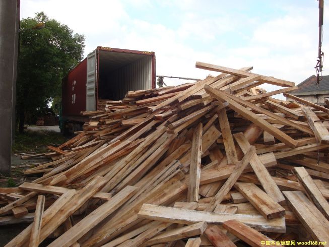 [��] ����(y��ng)�����ľ������R����ľ����albizia falcata