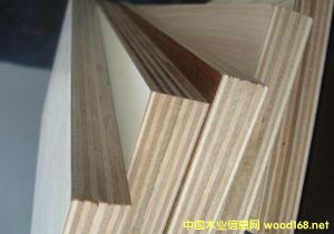 的詳細(xì)介紹