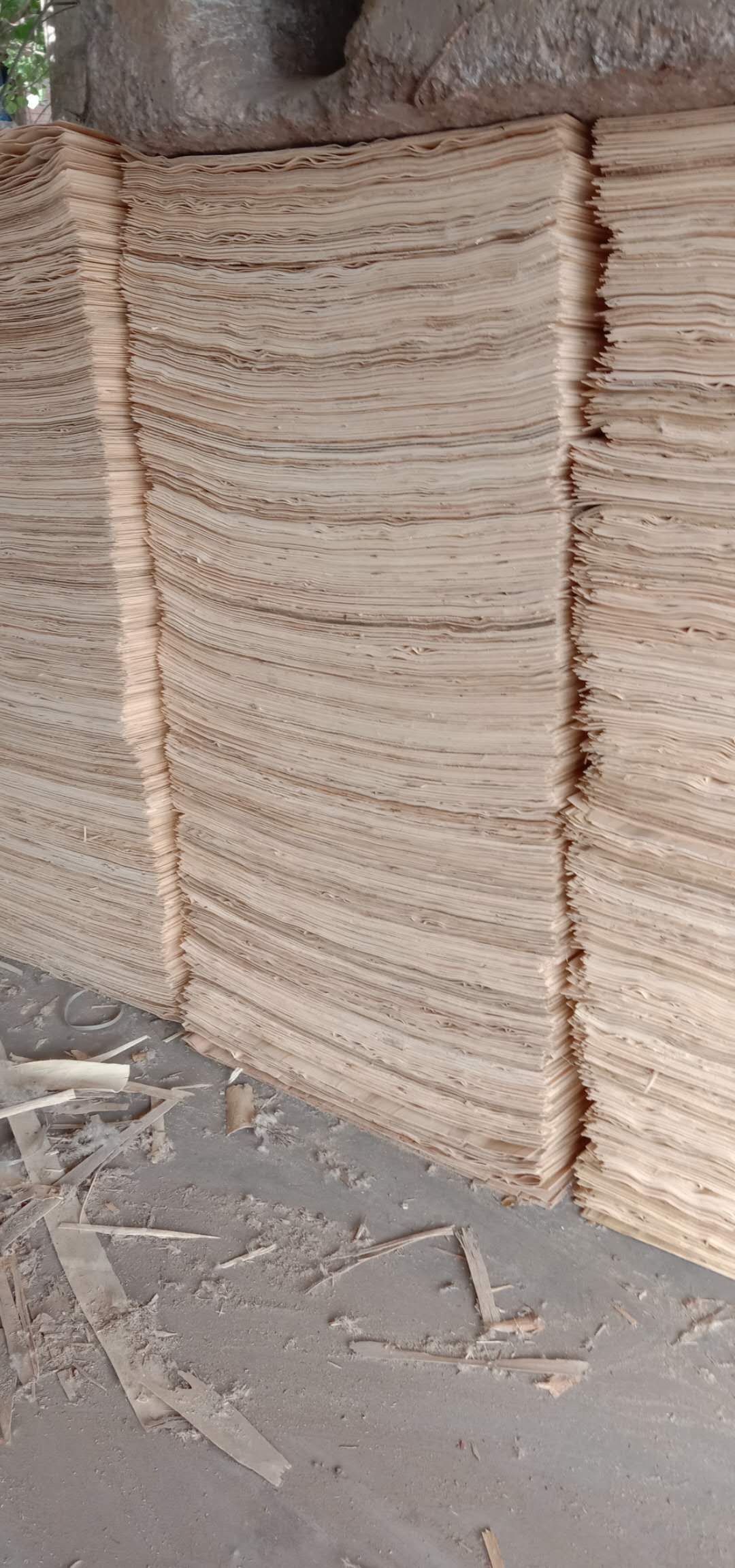 的詳細(xì)介紹