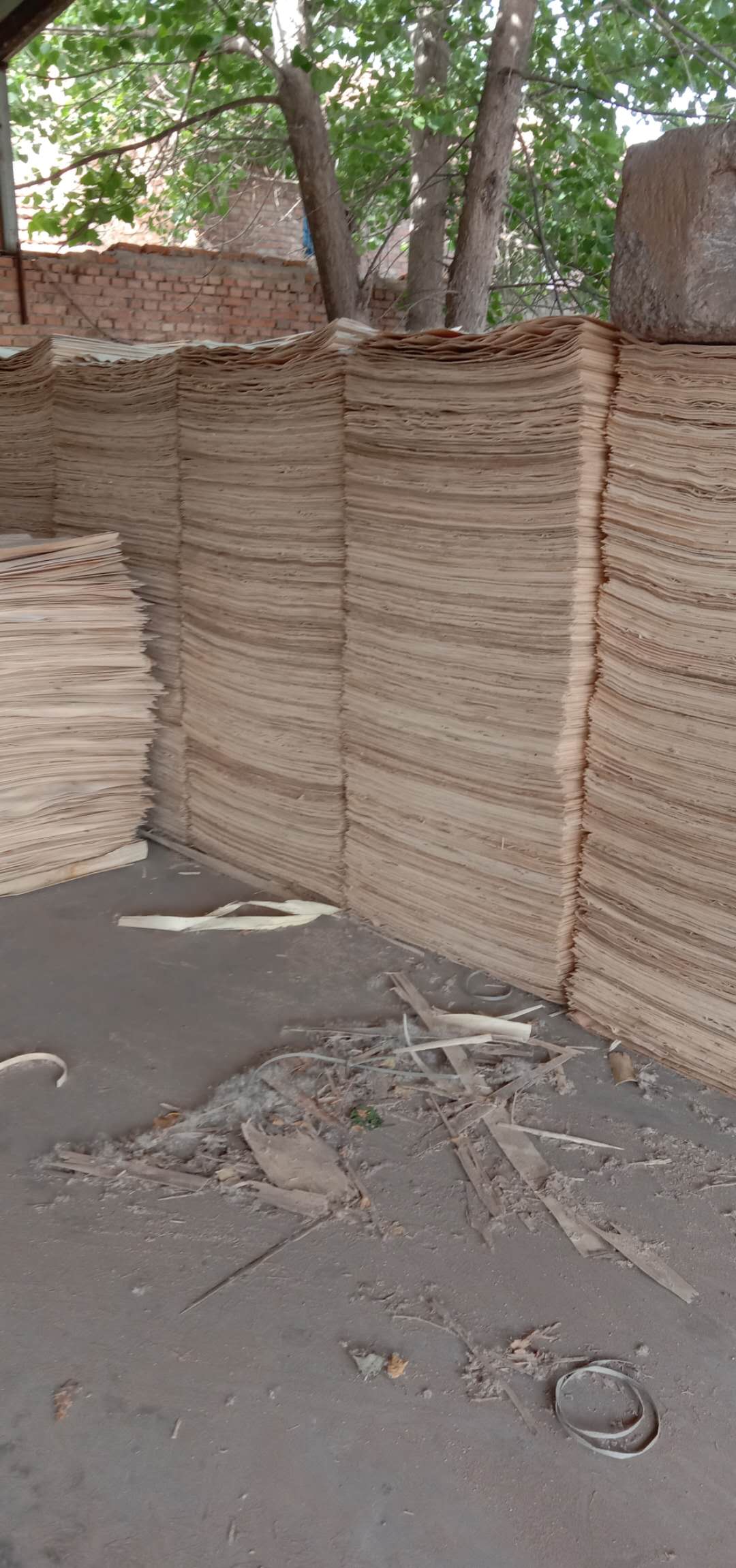 的詳細(xì)介紹