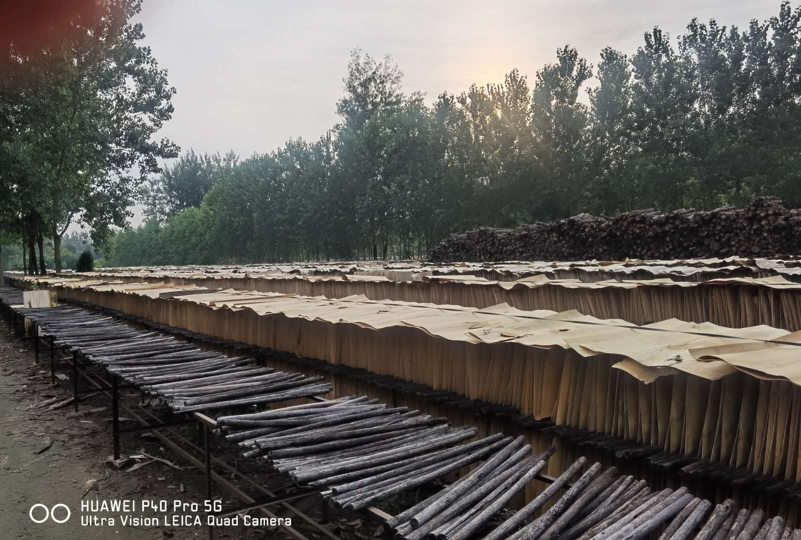 的詳細(xì)介紹