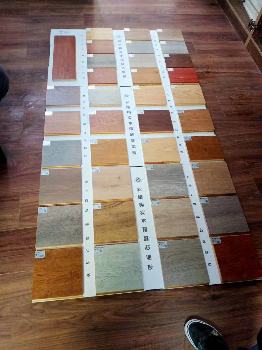 的詳細(xì)介紹