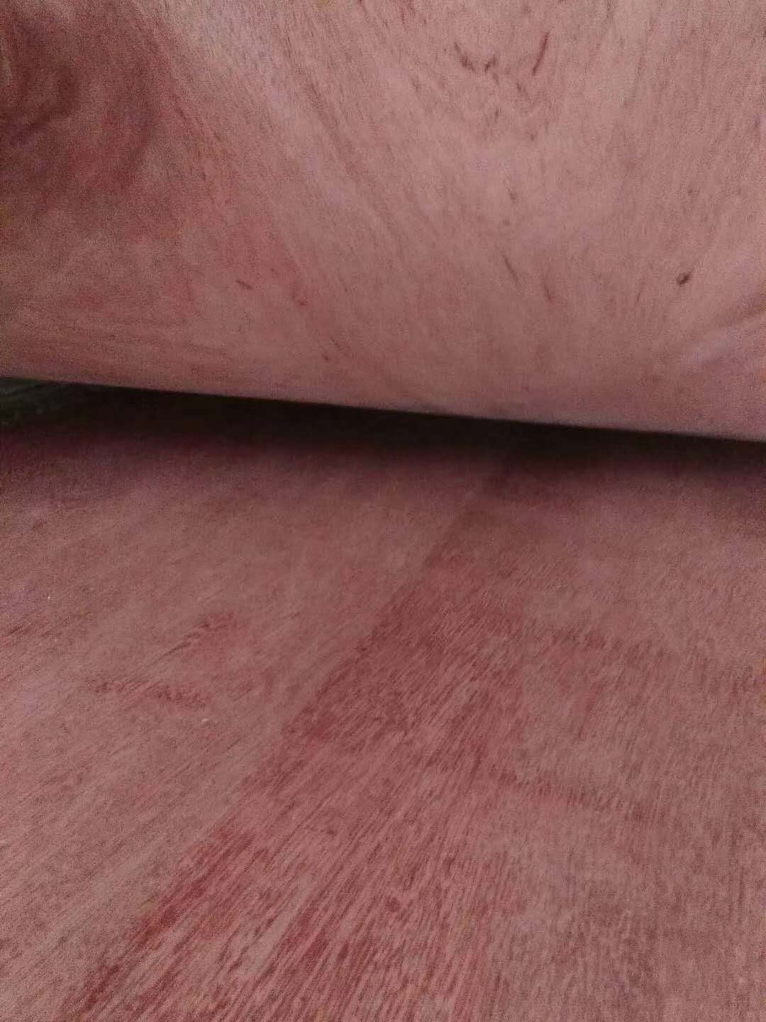  ��Ԕ��(x��)��B