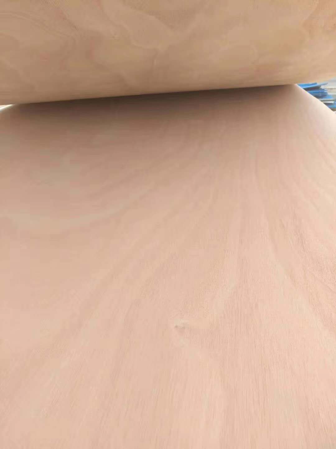 的詳細(xì)介紹